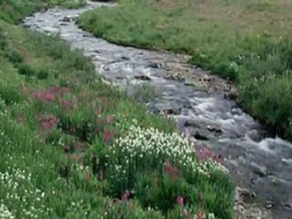 Abbas Turan- Aşık Veysel'in Mektup Şiiri