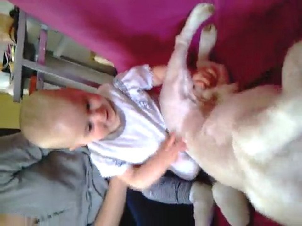 VIDEO0542