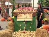 20 - Doggy Crushed By Potatoes Prank