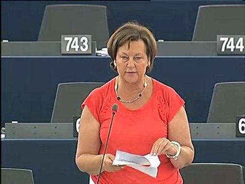 Nathalie Griesbeck on Cross-border exchange of information