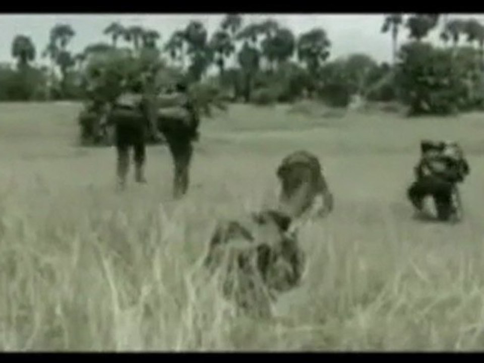 eelathalainagar.com ஈழததின் திரைப்படம் எல்லாளன் .part .6