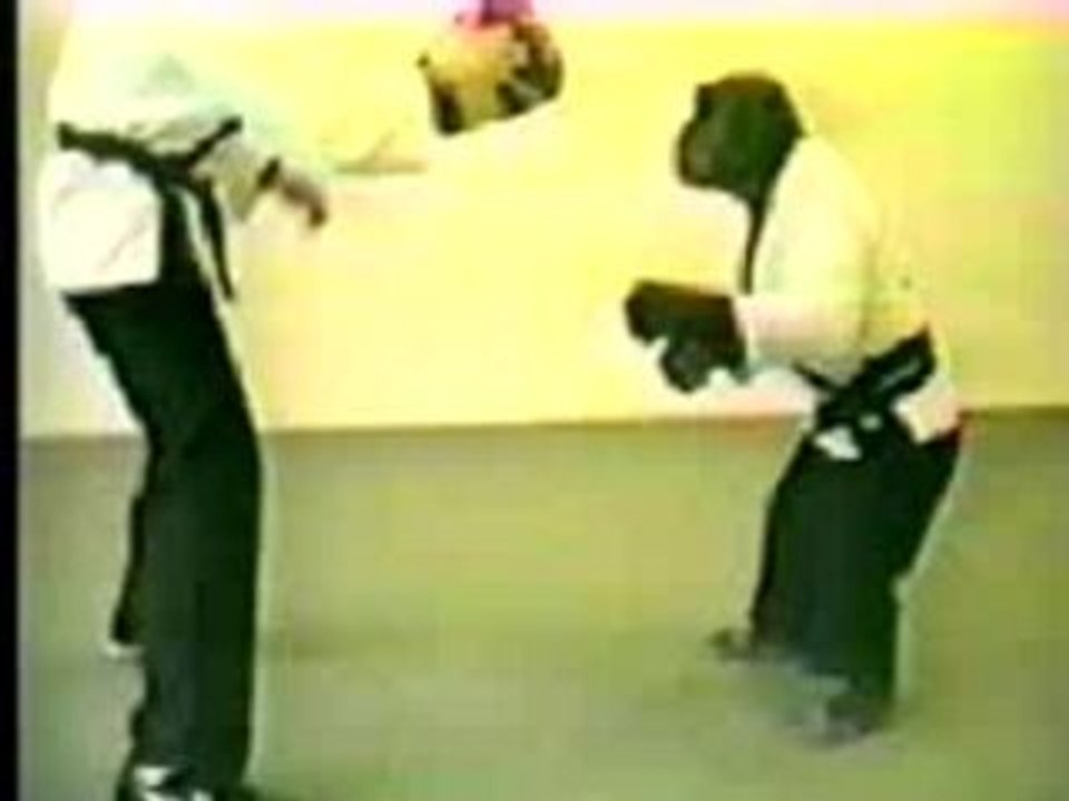 Comedy- Monkey kung-fu