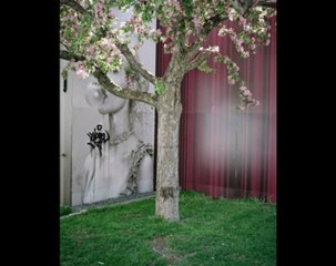 Angus and Julia Stone and Sarah Blasko - To Let Go