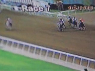 24 Octobre 2010 045.avi