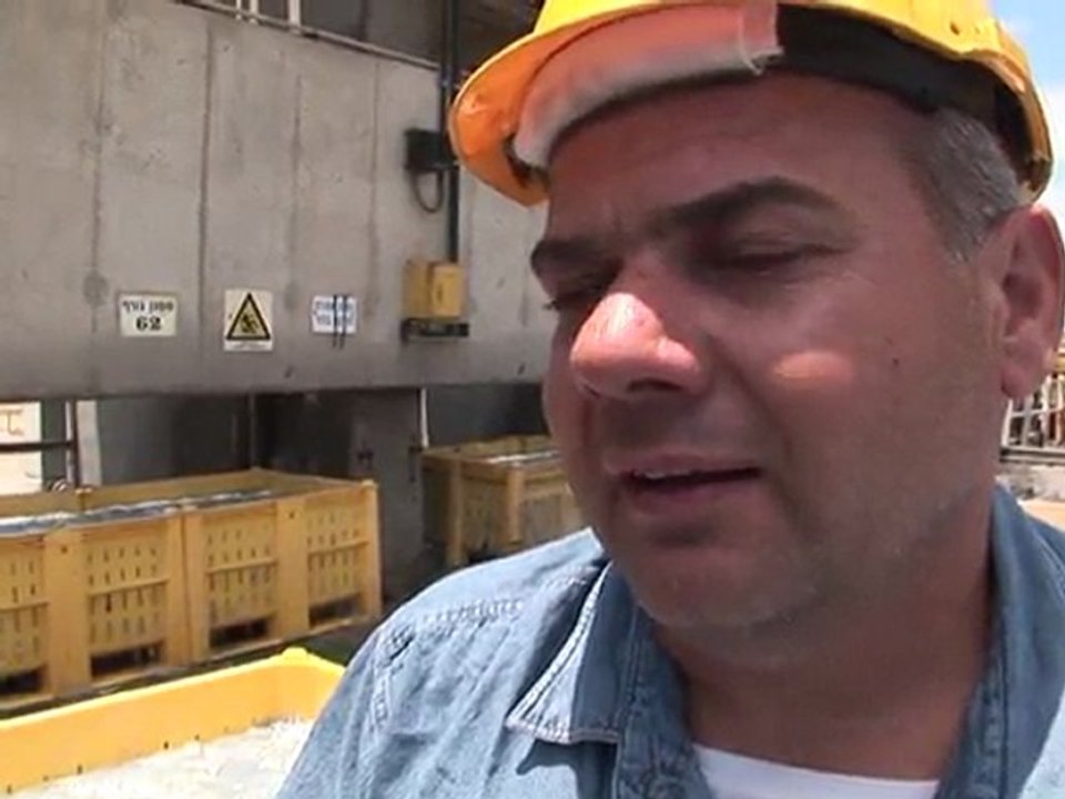 Quallen-Attacke gegen Israels Kraftwerke