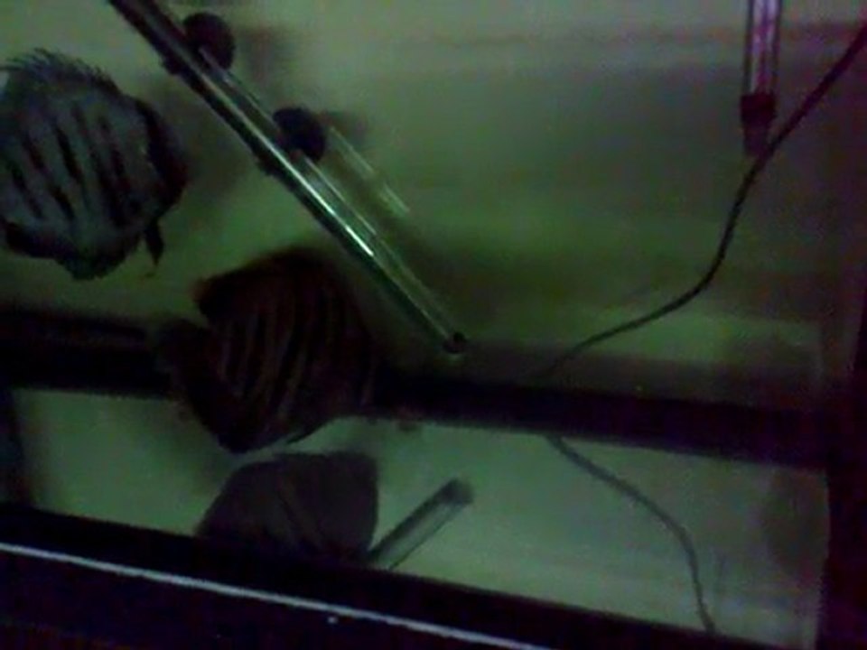 Jour 5 Hôpital 80L Repas 2