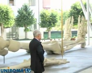 58 mln di euro l'anno di tagli alla cultura