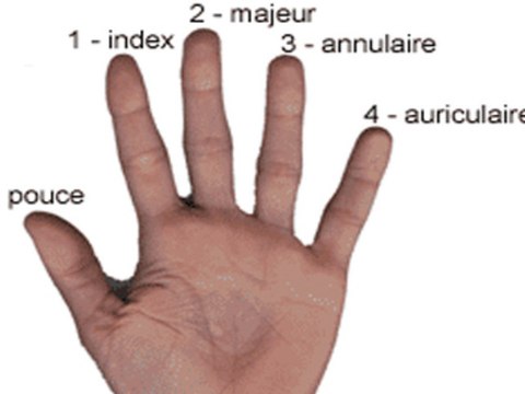 Comment savoir qui a un gros penis?