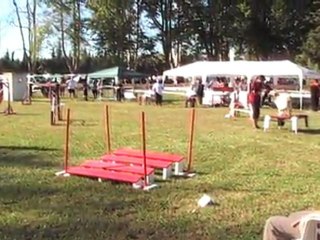 SARAH 1 ERE MANCHE GPF