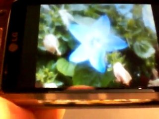 Video Recensione LG KM900 Arena