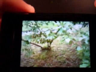 Video Recensione Samsung S8300 Ultra Touch