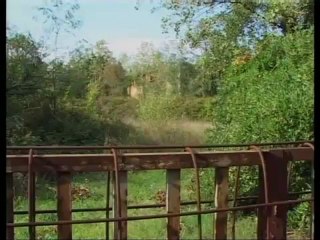 Icaro Tv. Corderia Viserba: un libro per ricordare la storia