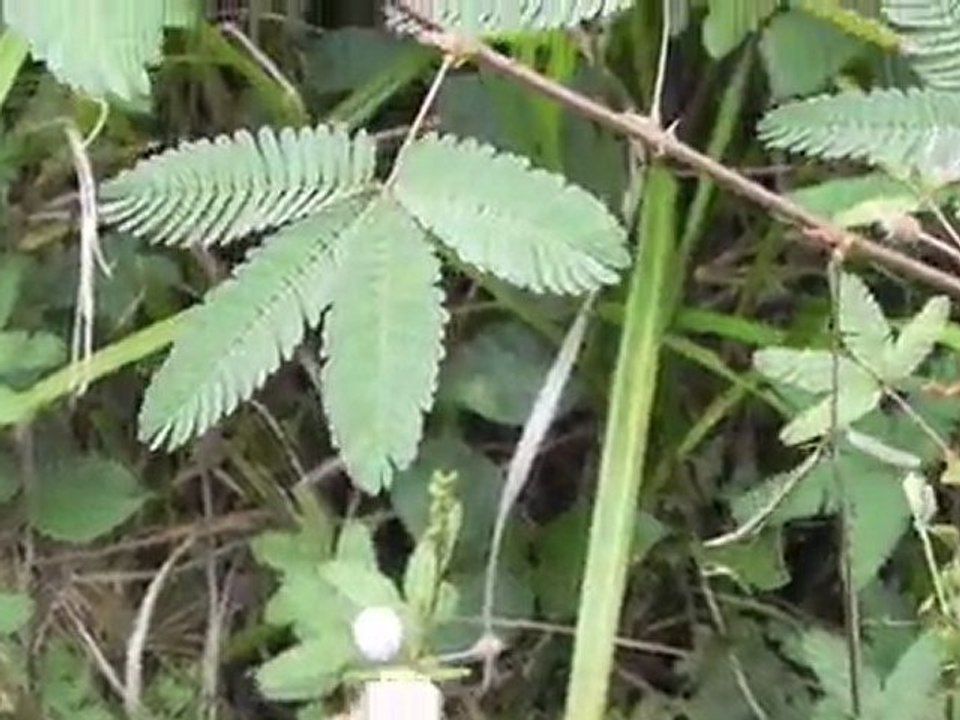 DSCN5788