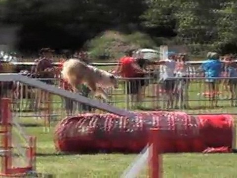 WILLIAM 2 EME MANCHE GPF