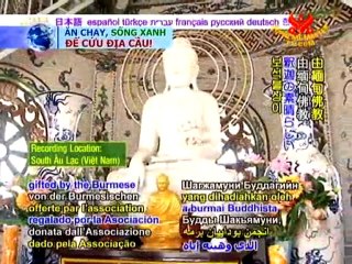 Vietnamese Buddhist Temples