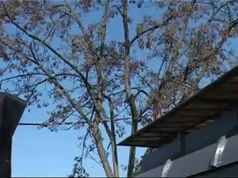 Icaro Rimini Tv. Nel campo nomadi di via Islanda