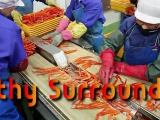 Promotion Video by SUNGJIN TRADING CO., LTD