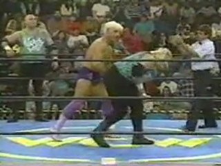 Ric Flair and Arn Anderson vs The Nasty Boys