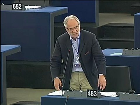 Ivo Vajgl on Situation in the Arab world and North Africa, Yemen, Syria