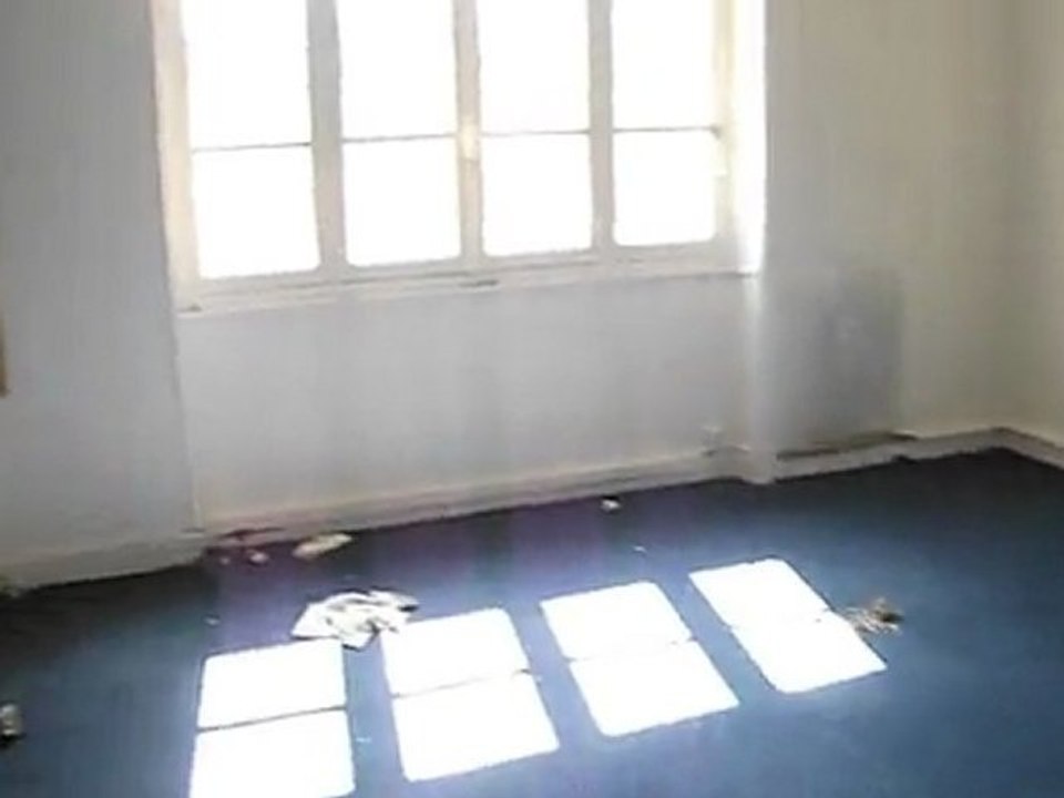 zola1