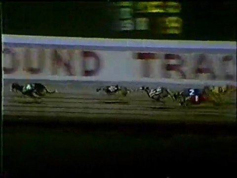 World Classic1985: Hollywood Florida Greyhound Track