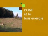 ONF-Bois-energie