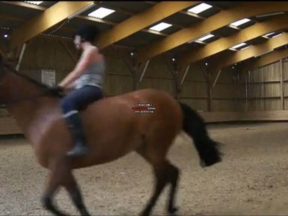 Dressage a cru avec ma jument