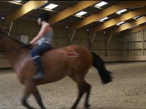 Dressage a cru avec ma jument