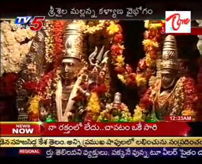 Bramaramba - Mallikarjuna Swamy Kalyanam - Maha Shivaratri