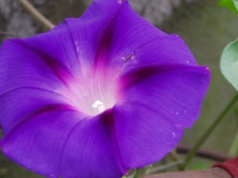 ..около дома...