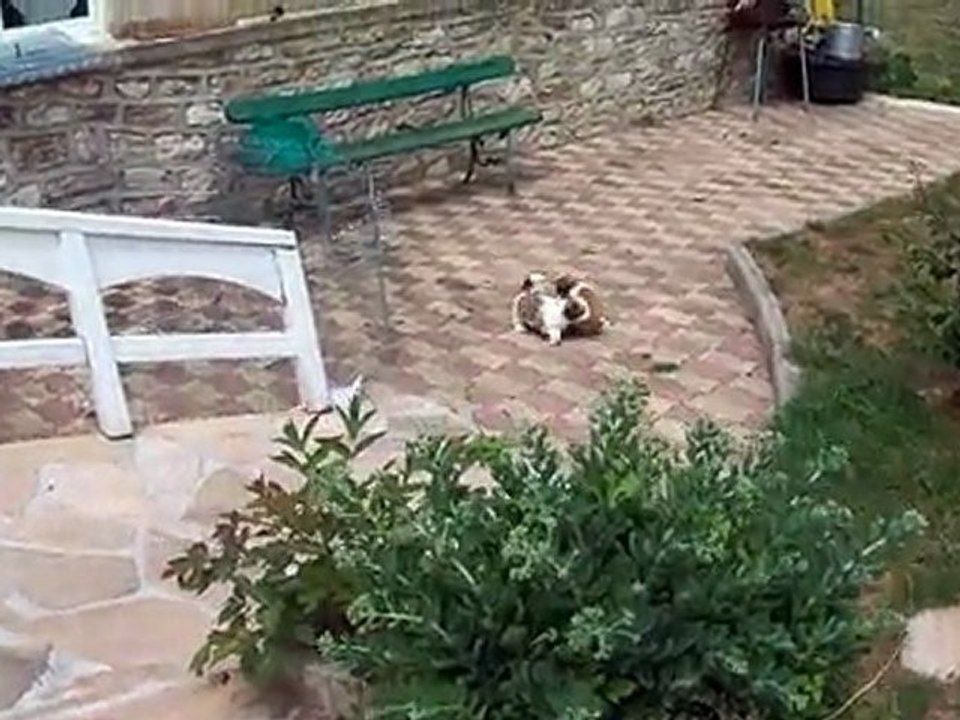 à la maison