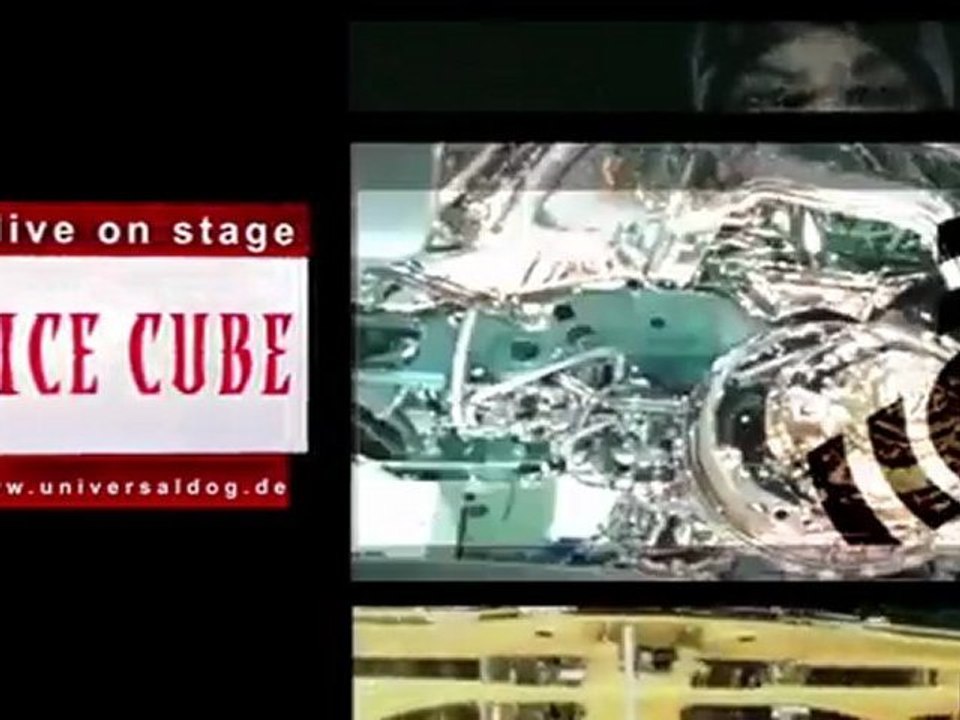 PARTYKINGZ ICE CUBE LIVE ON STAGE   Saturday, 090711   UNIVERSAL DOG LAHR