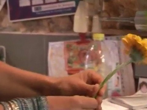 Chemins de la réussite : Mobil Home