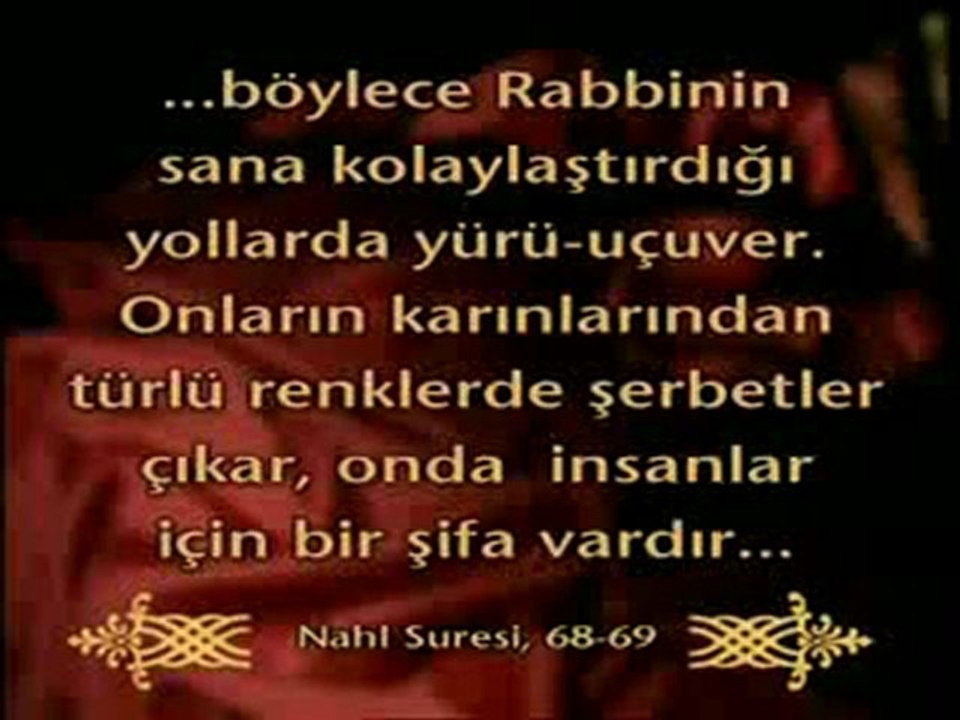 Kuran mucizeleri: Dişi balarısı