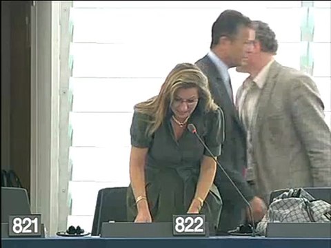 Alexandra Thein on election of the Members of the European Parliament