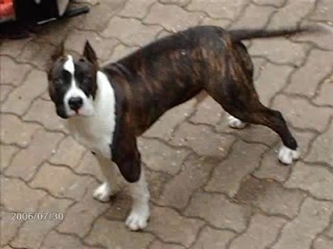 montage de mon bébé :)