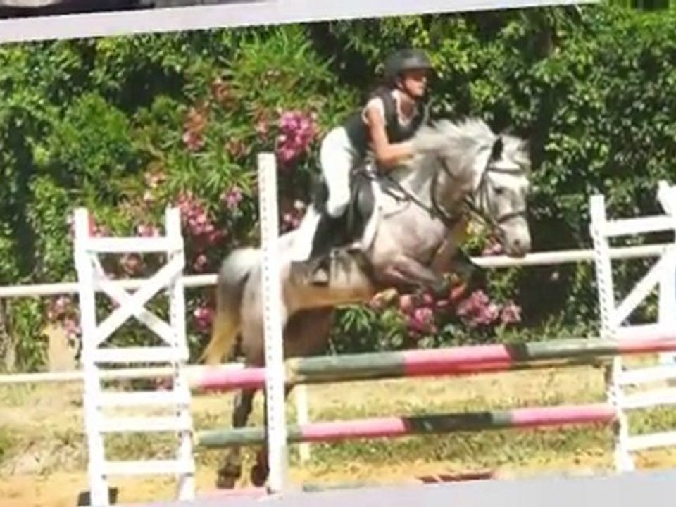 JOYEUX  ANNIVERSAIRE !