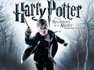 Vidéotest Harry Potter : Les Reliques de La Mort Première Partie (PC)