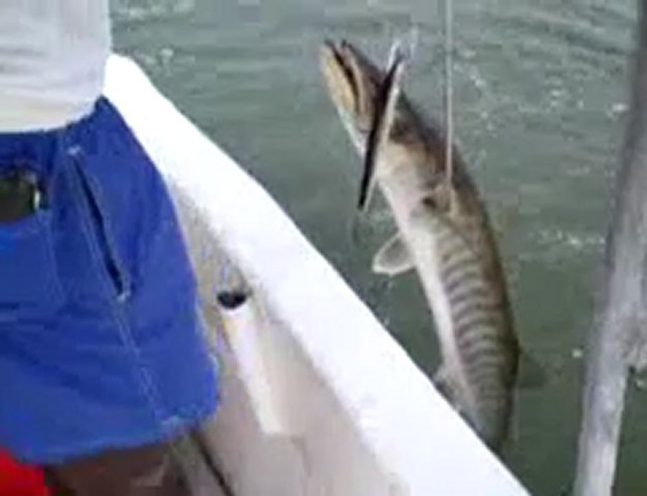 Pêcher le barracuda au senegal au Katakalousse cap skirring