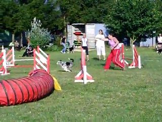 Dixie 5 mois 1/2 entrainement d'agility val de metz