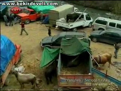 Bekir Develi - Gez Göz Arpacık - Artvin / Yusufeli-Sarıgöl Yaylası-1