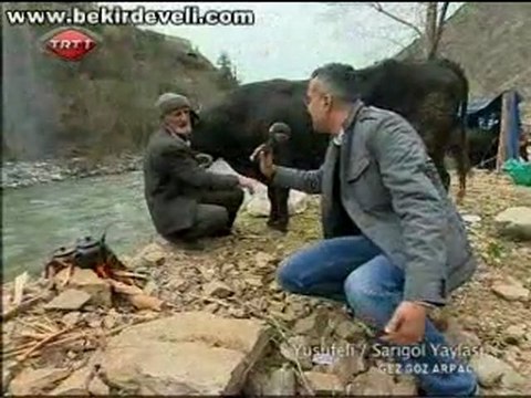 Bekir Develi - Gez Göz Arpacık - Artvin / Yusufeli-Sarıgöl Yaylası-2