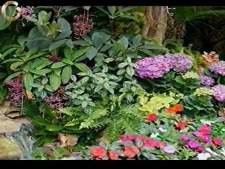 Saber Vivir: Picadas de escorpión