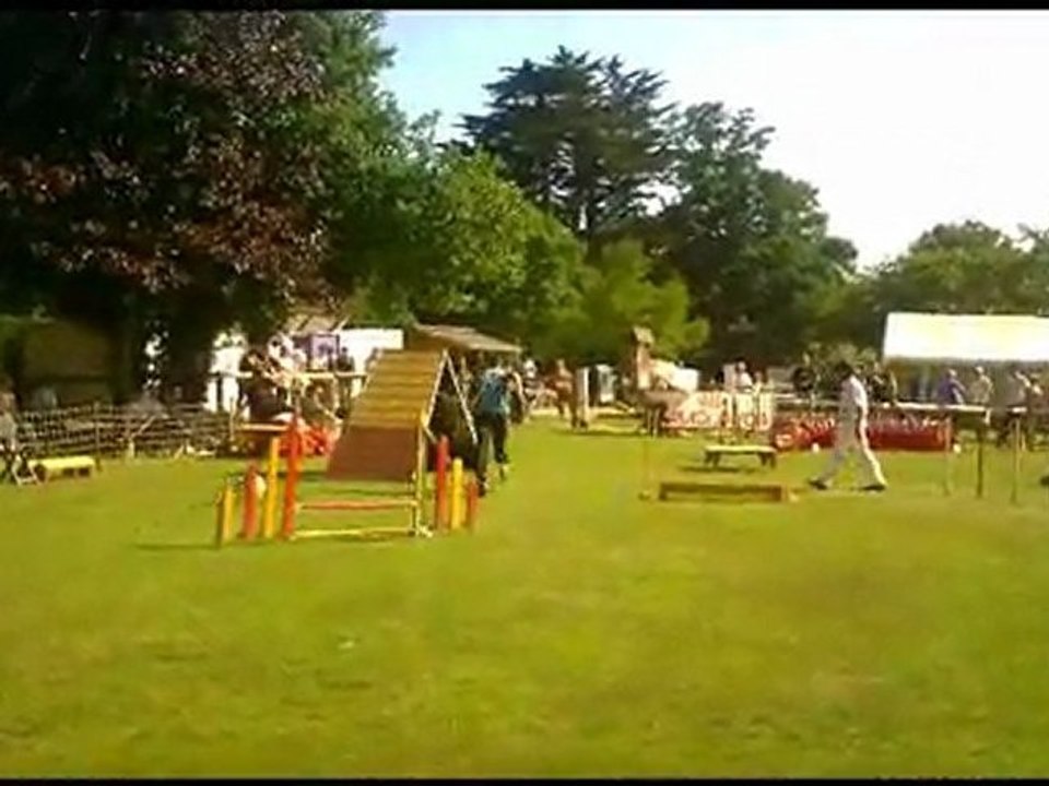 Agility Vannes 25 juin 2011 Nicolas et antalaya
