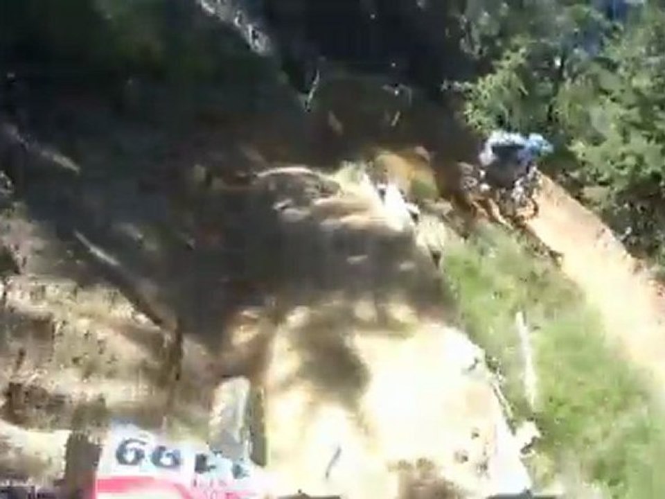 Descente VTT les 2 alpes Sapins