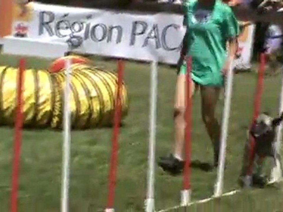 Baïla 3è parcours Eyragues 201