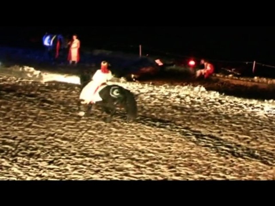 Des Mots et des Chevaux 2009