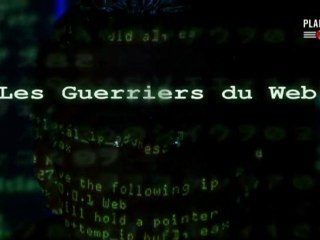 Les guerriers du web