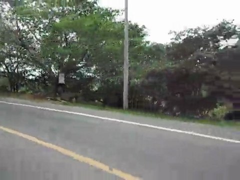 Hitchhiking from Botanica Garden to Puerto Vallarta