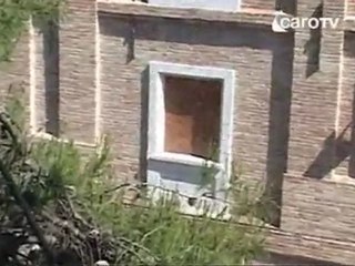 IcaroTv. Sciame d'api in centro a Rimini